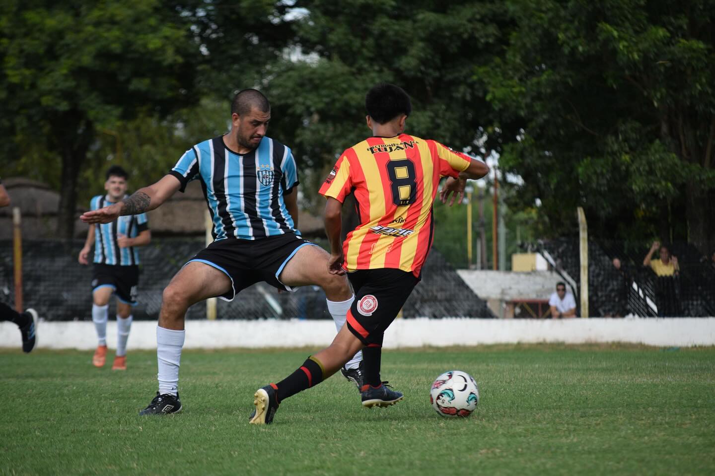 Imagen adicional